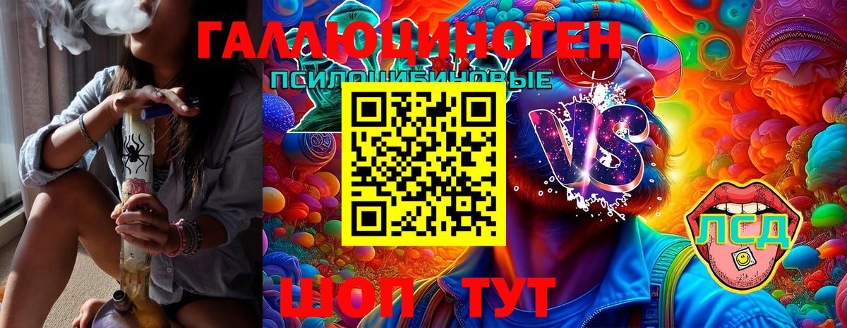 Горячий Ключ  что такое наркотик  Вход с VPN  Псилоцибиновые грибы Psilocybine cubensis  Галлюциногенные грибы Psilocybe 