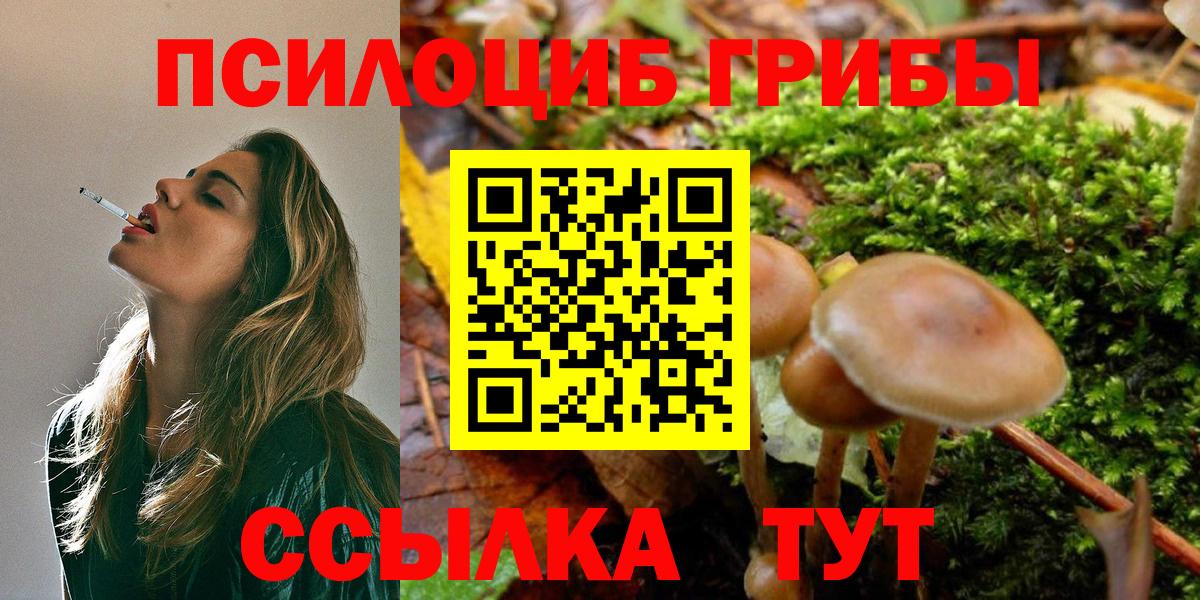 Галлюциногенные грибы Psilocybine cubensis Горячий Ключ
